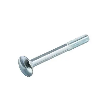 Proftec slotbout + moer VZ 4.8 DIN603/555 M6x60 (50)