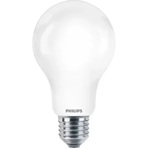 Philips LED lamp mat E27 13W (120W) warm wit