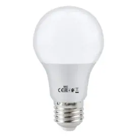 Horoz Globa Led Lamp E27 9W 6400K 0010850009