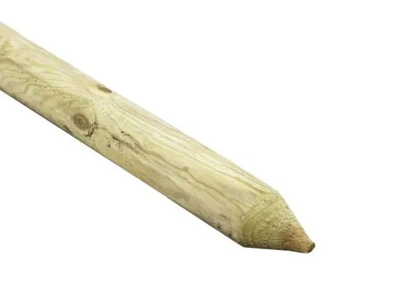 Woodvision Ronde paal, diam. 6x50 cm cilindrisch gefreesd 1 zijde gepunt 1 zijde gekroond,