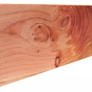 Douglas geschaafde gording gedroogd 4.5x16x300 cm blank
