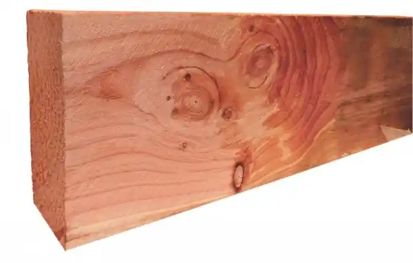 Woodvision Douglas geschaafde gording 4,5x16,0x400 cm, onbehandeld