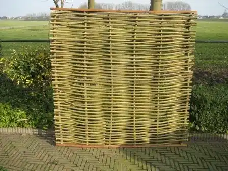 Wilgenscherm Elegance 180 x 180 cm