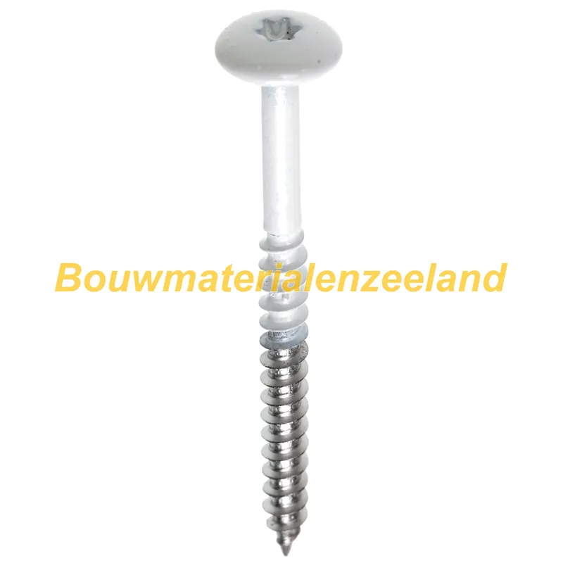 Fisinox Kikern snelmontageschroef 4.8x25 tx-20 deeldraad schelpwit KIKERN 005 rvs A2