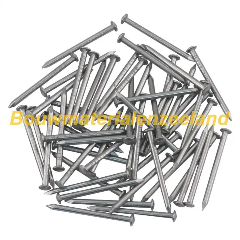 Ellen Tochtstripnagel rvs 25x1,6 mm zak 55 st