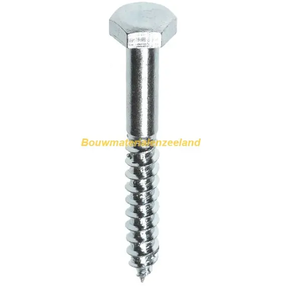 FIS PROFI houtdraadbout 8x100 6-kantkop SW-13 DIN571 rvs A2 AISI304 ds 15 st