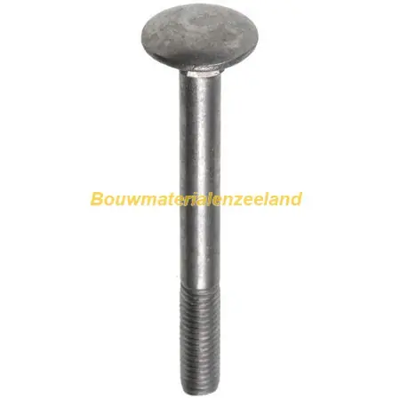 FIS PROFI slotbout M6x30 metr. DIN603 rvs A2 AISI304 ds 25 st