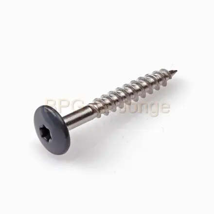 FISINOX KLEURKOPSCHR 4.8x38 RAL9005 100st/ds ZWART