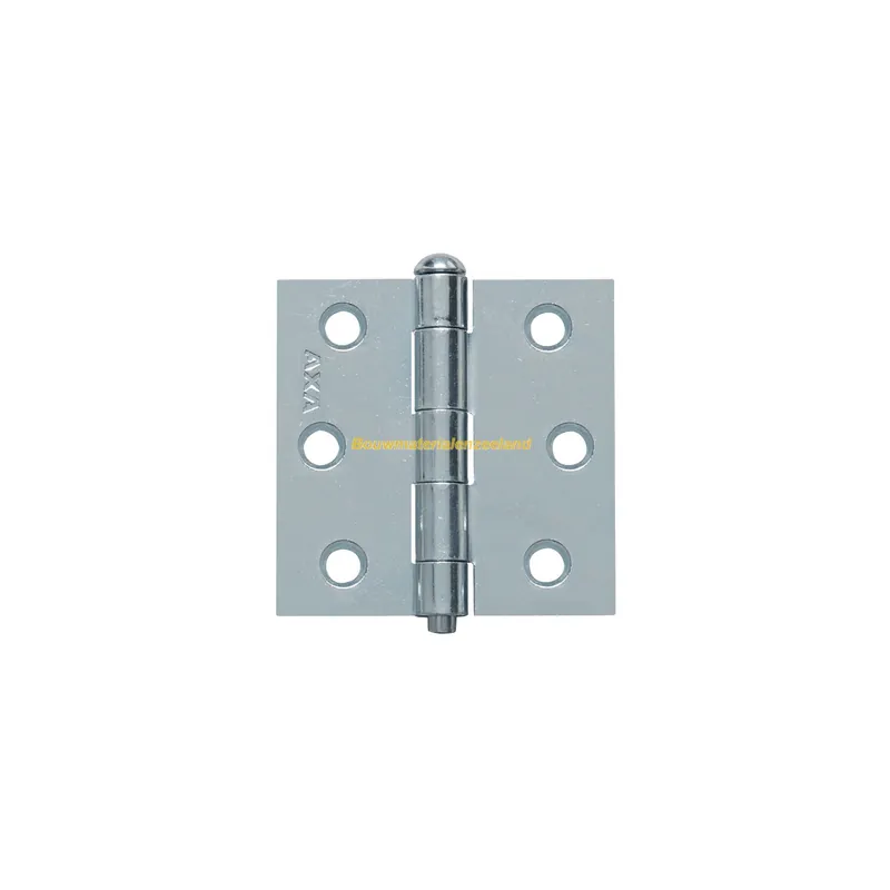 Axa Scharnier 2,5x2,5 tgs ean11032323E