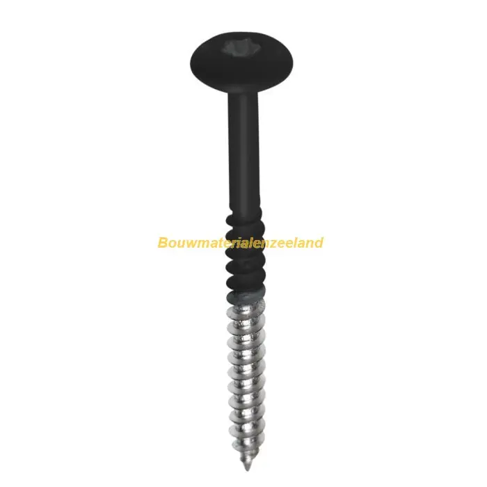 Fisinox kleurkopschroef 4.8x38 rvs A2 RAL 7021 zwartgrijs