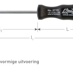 ATHLET SCHROEVENDRAAIER, SL 1,0X5,5X125
