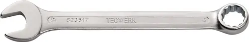 RING-STEEKSLEUTEL SW 6 MM LENGTE 100 MM VORM A CHROOM-VANADIUMSTAAL TECWERK