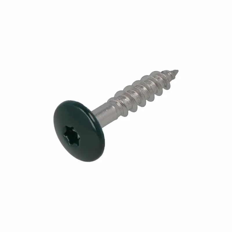 HPL SCHROEF RVS-A2 TX-20 PARELWIT RAL1013 4.8X38 (100)