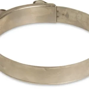 PROFEC SLANGKLEM RVS 304 29 MM X 31 MM TYPE W4 SUPER 20 MM