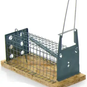 LUNA MUIZENVAL HOUT RECHT 1-KLEPS 16 CM