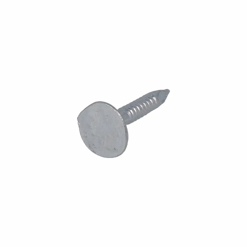 PROFTEC ASFALTNAGEL VZ PK 3.0X20 (1KG)