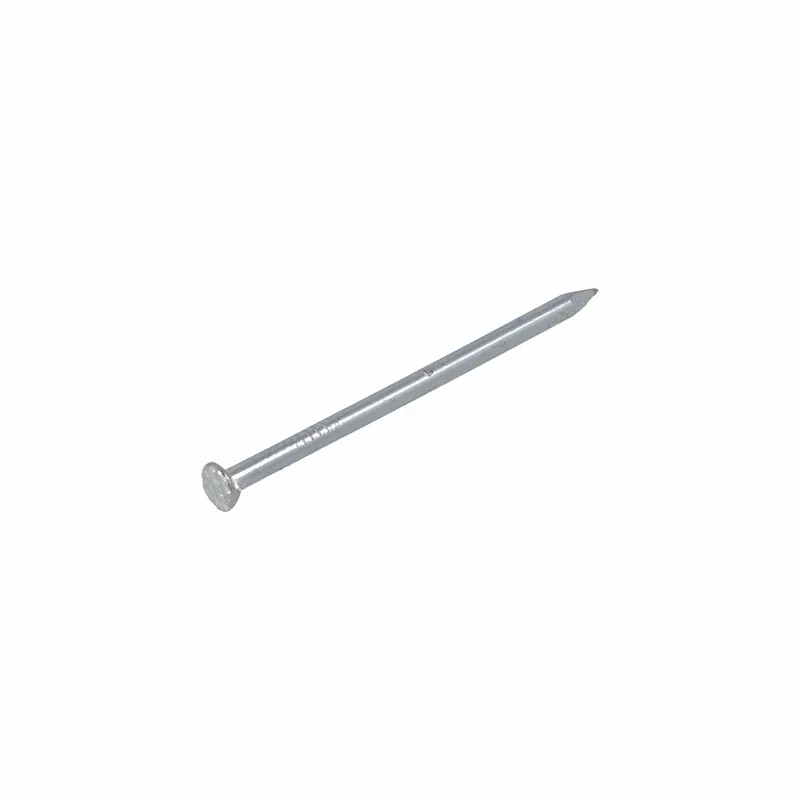 HOMEFIX DRAADNAGEL VZ PK 4.0X100 (100GR)
