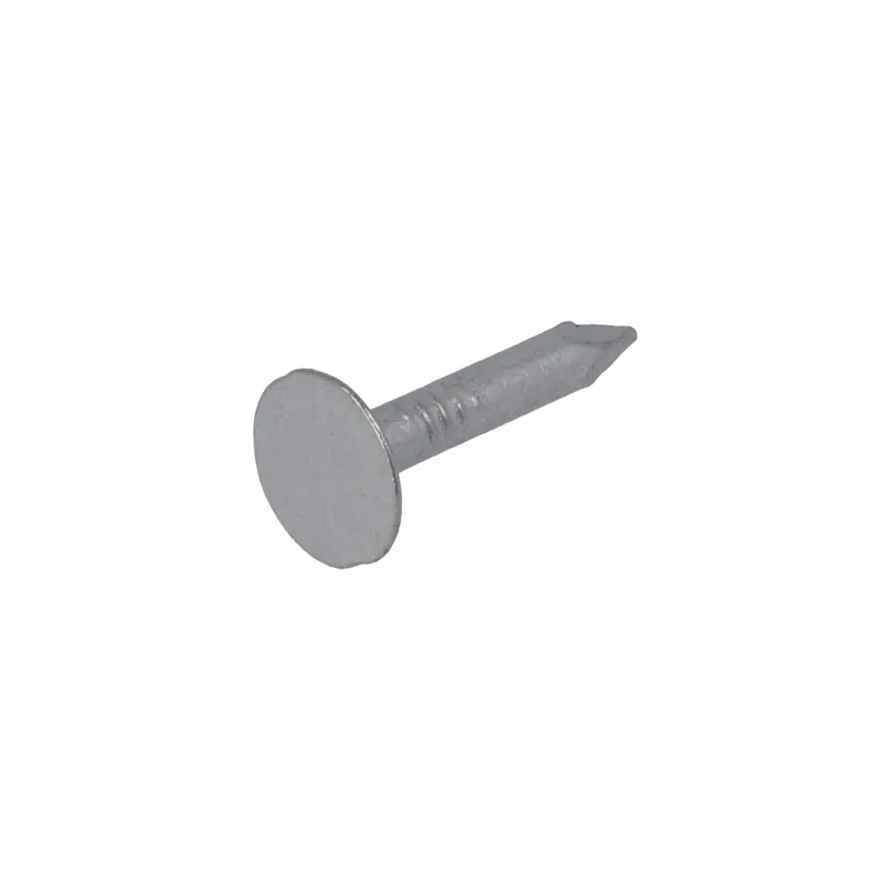 HOMEFIX ASFALTNAGEL VZ 3.0X25 (100GR)