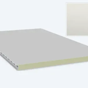 Wandpaneel, 40/1170 WZ-LL, kleur 9002 polyester