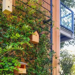 Groene wand systeem, hoogte 2110 mm