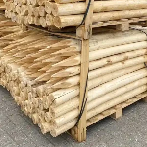 Robinia Palen 10/12 - Gepunt en Ongeschuurd