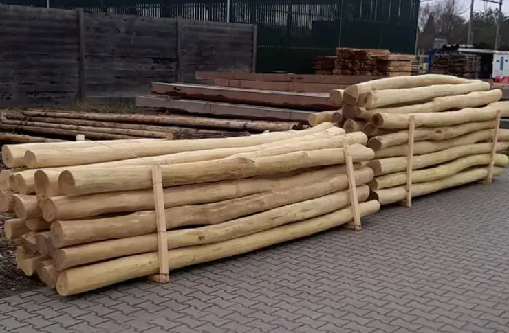 Robinia Palen 12/14 - Spintvrij en Geschuurd