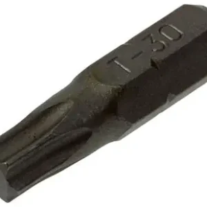 1017328 - TORX SCHROEFBIT STAAL ONBEHANDELD 2 ST T 30