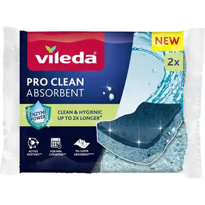 1078256 - PRO CLEAN SCHUURSPONS 2 PACK