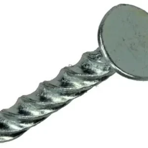 1013896 - 1 KG SCHROEFSPIJKERS VERZINKT 3,8X32MM