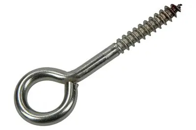 1019895 - SCHROEFOOG ROESTVRIJSTAAL 1 ST6,0X60 MM