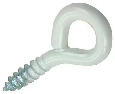 1017783 - SCHROEFOOG STAAL WIT 10 ST 2,5 X 12 MM