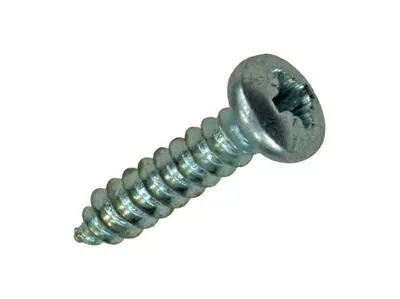 1018055 - ZELFTAPPENDE SCHROEF CYLKOP VERZ.100 ST 2,9 X 13 MM