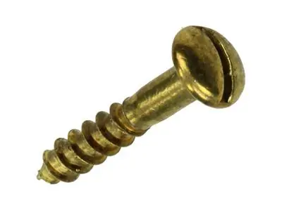 1019659 - HOUTSCHROEF BOLKOP MESSING 12 ST 3,0 X 16 MM