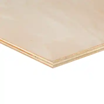 Multiplex plaat hardhout voor binnen 122 x 61 cm 12 mm
