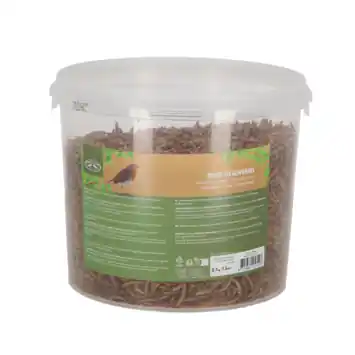 Gedroogde meelwormen in emmer 700 gram