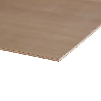 Multiplex plaat hardhout exterieur 122 x 61 cm 5,5 mm verlijmd