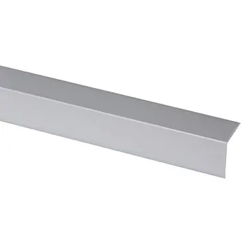 Hoekprofiel kunststof RVS look zelfklevend 25x25mm 260cm