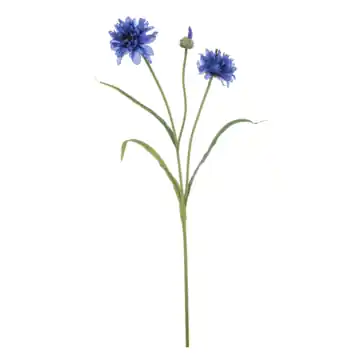 Cornflower spray blauw 75cm