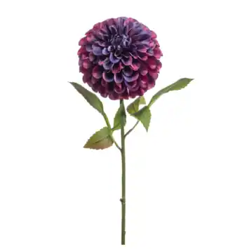 Dahlia pompom spray XL burgundy 77cm