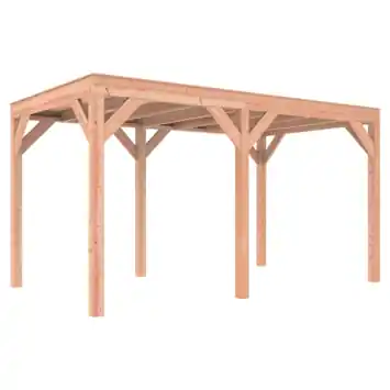 Overkapping Douglas 445 x 255 cm