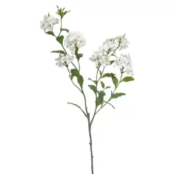 Jasmin spray wit 82cm