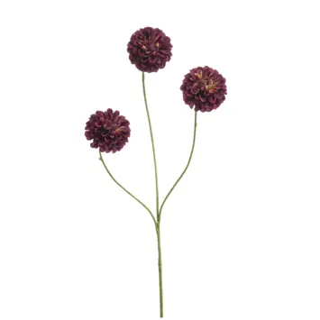 Dahlia pompom mini burgundy 68cm