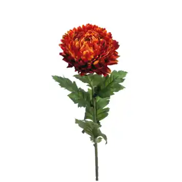 Mum spray flame 75cm