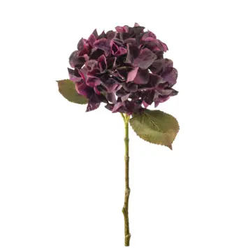 Hydrangea stem burgundy 47cm
