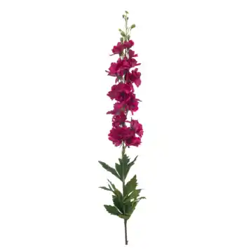Delphinium spray fuchsia