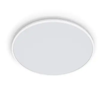 Philips plafonnière Ozziet wit 1x36W