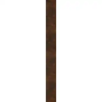 Kleurstaal decorpaneel roest 20x30 cm
