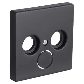 Busch-Jaeger Future Linear centraalplaat radio/TV zwart
