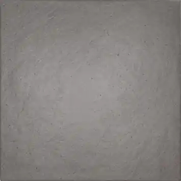 Stonewish betontegel Cesare Pisa 60 x 60 x 4 cm