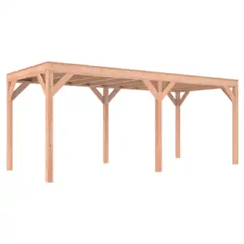 Overkapping Douglas 595 x 255 cm
